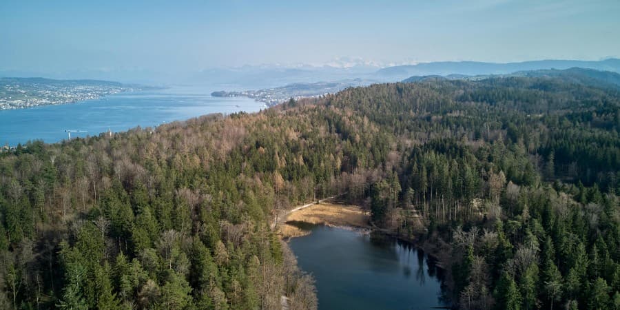 Thalwil (near Zurich)
