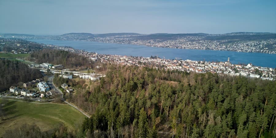 Thalwil (nearby town with lakeside parks)