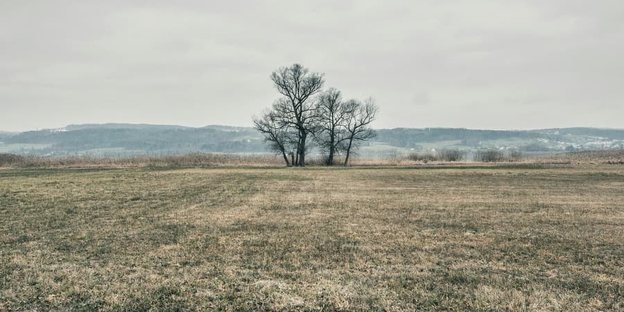 Greifensee (near Zurich)