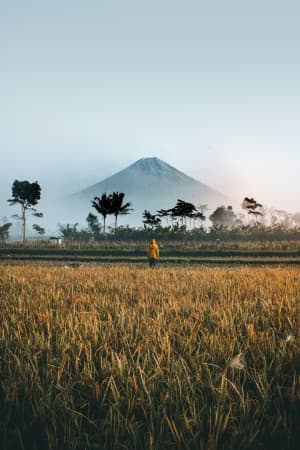 Taman Suropati