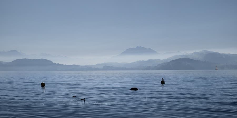 Zug