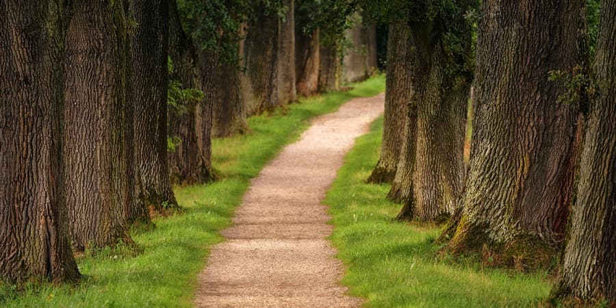 Hiking trails around Lucerne