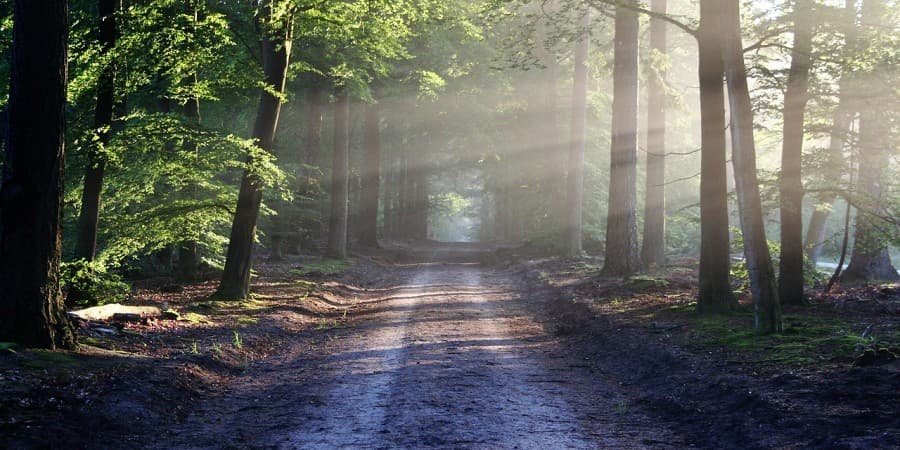 Philosopher's Path