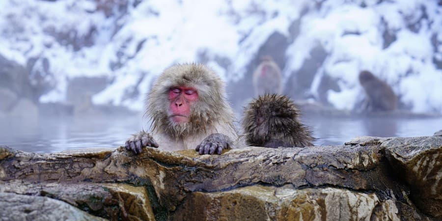 Kurama Onsen