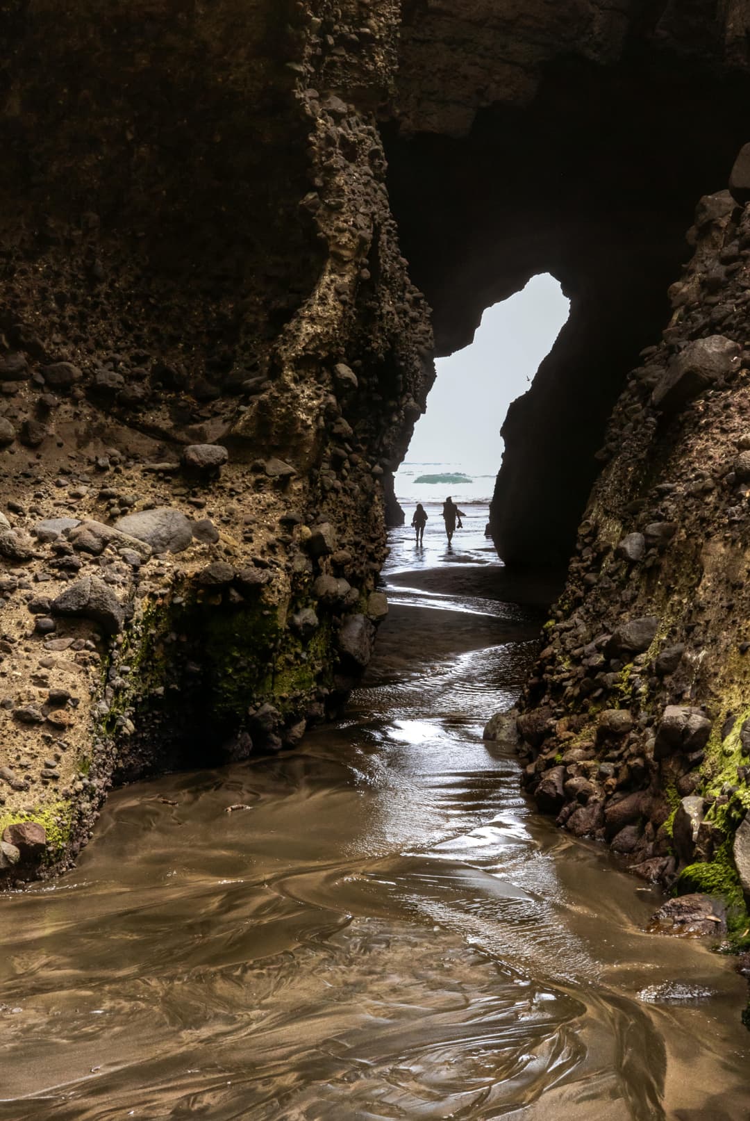 Cultural trip to Auckland, New Zealand for 2 people over 7 days – $2000 total