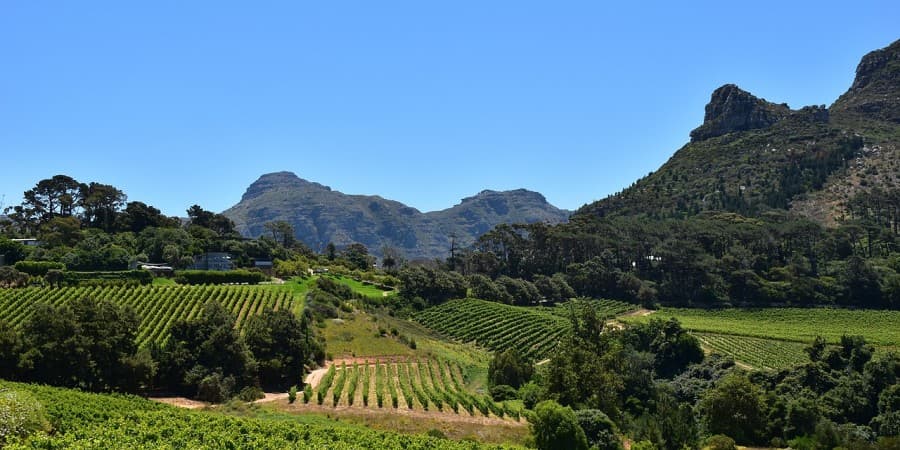 Ziplining in Constantia