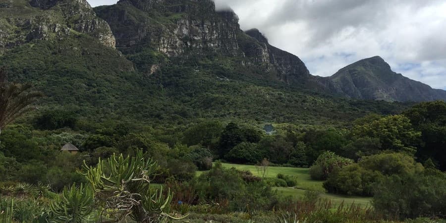 Kirstenbosch National Botanical Garden