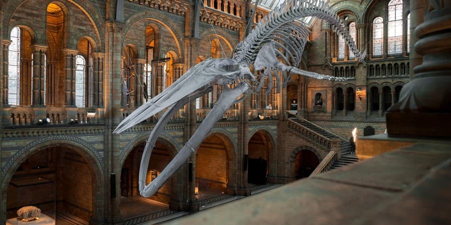 Bahrain National Museum