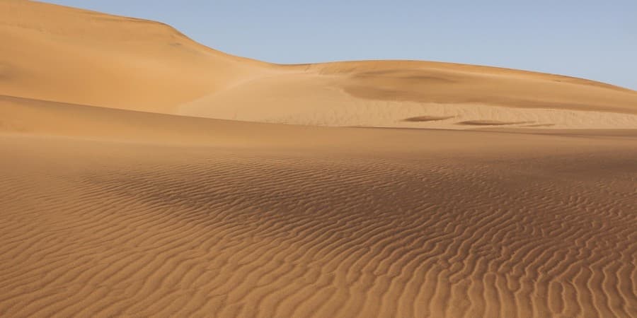 Desert Safari in the Bahrain Desert
